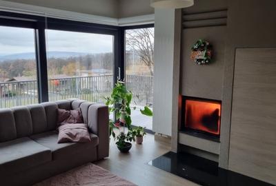 Casa de vanzare, zona Faget, superfinisata, teren 690 mp - 8