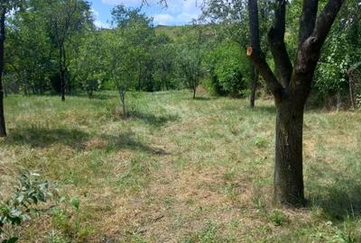 Casă cu 5 camere cu Teren 1600 Mp în Doicești - 1