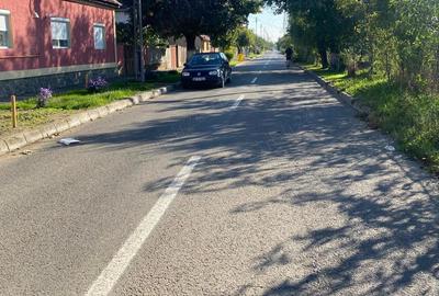 Teren de 10198 mp, în Bujac - 3