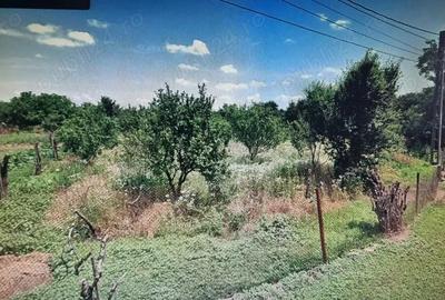 Teren de 4000 mp, în Crângurile - 4