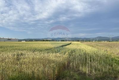 Teren agricol intravilan de 8800 mp, în Periferie - 2