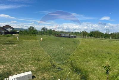 Teren de 6716 mp, în Izvoare - 14