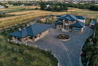 Casa exclusivista cu arhitectura unica, 320mp utili, Horod - 18