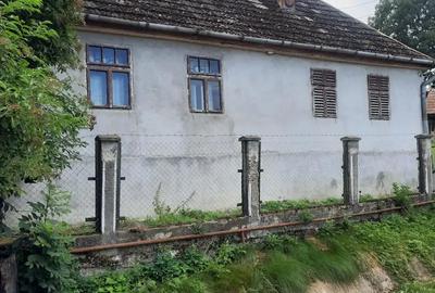 Casă cu 2 camere cu Teren 1600 Mp în Frunzeni - 4