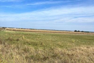 Teren extravilan, 2480 mp, Radauti - 4