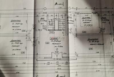 Vila + Afacere 15.000mp Clinceni - 31