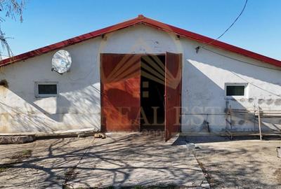 Teren agricol intravilan de 29560 mp, în Tariverde - 17