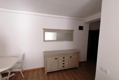 Apartament 2 camere-str Salcamului-zona Salii Polivalente - 13
