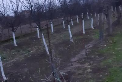 Casă cu 4 camere cu Teren 1439 Mp în Cermei - 4