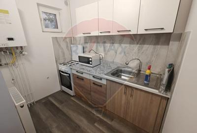 Apartament cu o camera de inchiriat Vlad Tepes - 2