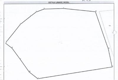 Teren extravilan-Loc. Roscani, comuna Dobra, judetul Hune... - 4