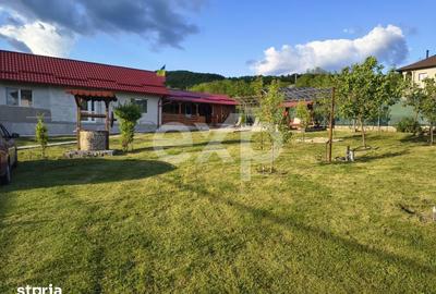 Casă cu 3 camere cu Teren 1071 Mp în Bradu