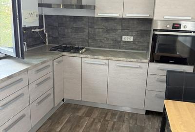 Apartament cu 2 camere semidecomandat, mobilat în Banu Manta - 4