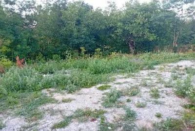 -teren intravilan, loc. Daesti, jud. Valcea - 4