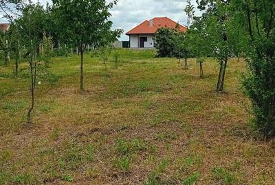 Casă în Berini - 1