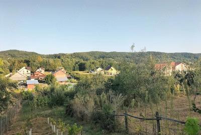 Casă cu 5 camere cu Teren 1000 Mp în Central - 22