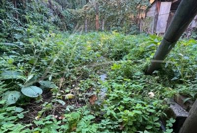 Casa individuala pe un singur nivel, zona Parcul Feroviarilor - 6