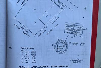 Spațiu comercial, de 300 mp, în Braloștița - 3