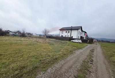 Teren 519mp Dumbrava Rosie / Strada CRANGULUI - 16