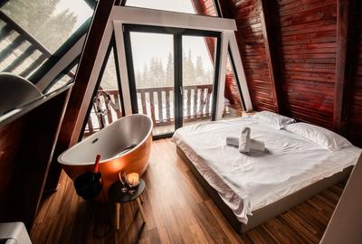 Cabana A-Frame 5 camere Belis Cluj - 1