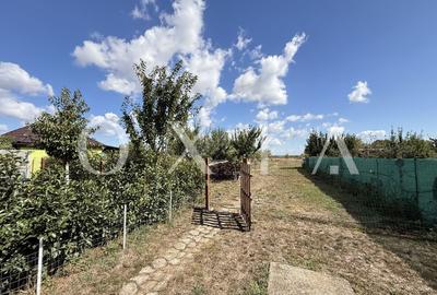LX297 Casa Parta, spatioasa, teren generos - 15