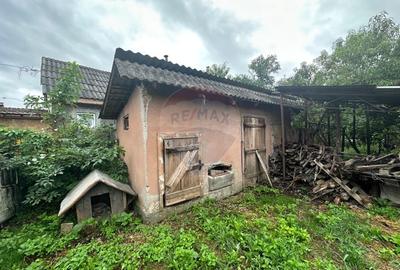 GOSPODARIE VECHE cu 30 arii TEREN- SE VINDE - 4