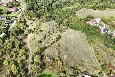 Teren intravilan cu vedere panoramică  4230mp - Mediaș - 9