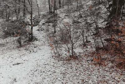 Teren intravilan situat in Busteni - 3