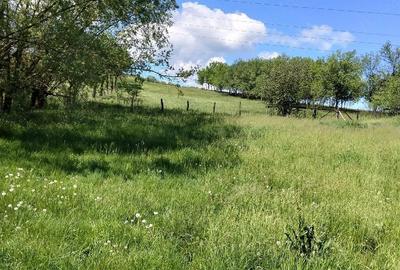 Casă cu Teren 5000 Mp în Central - 3