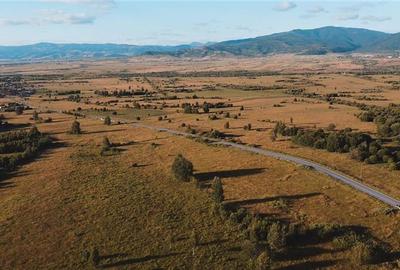 Teren intravilan de 52555 mp, în Suseni - 4