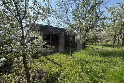 Teren în Bercu Roșu - 5