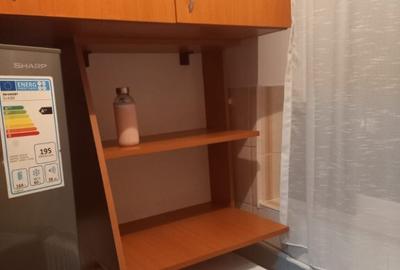 Garsoniera cf. 3 Baicului - 9