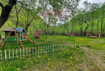 Hotel/Pensiune, de 1,290 mp, în Lepșa - 6