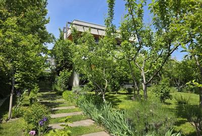 Refugiu Verde in Corbeanca – Vila Premium cu Gradina Matura - 8