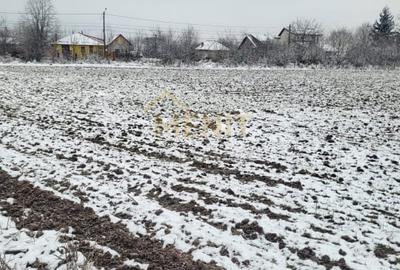 Teren Construcții intravilan de 1542 mp, în Băicoi - 2