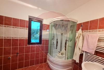 Casa cu 6 camere de vanzare in zona de munte - 10