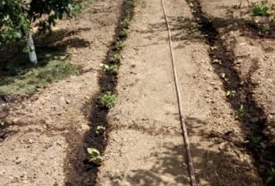 Teren Construcții intravilan de 3417 mp, în Poiana - 9