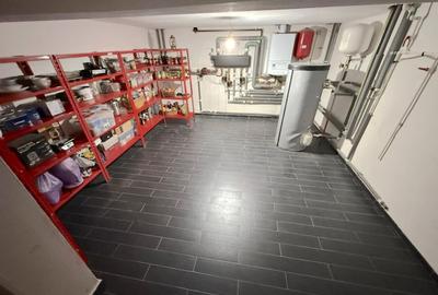 Vanzare Vila P+1 zona Grand Arena | suprafata totala 270mp - 24