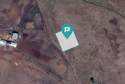 Loc de casă în Sânandrei - 2