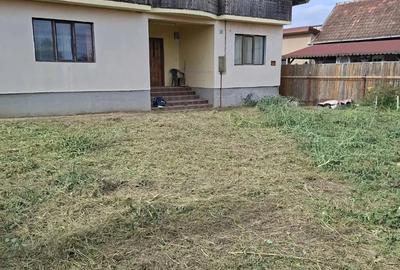 Casă cu 5 camere în Central