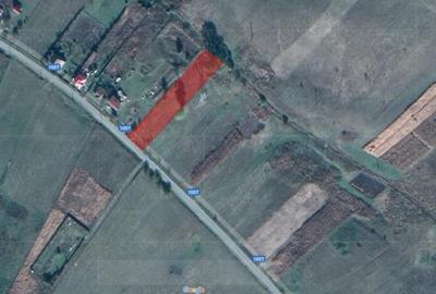Teren de 2533 mp, în Săliște - 6