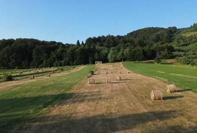 Teren 5886 mp In Bucovina - Bucsoaia! De Vanzare! 0727817187 - 1