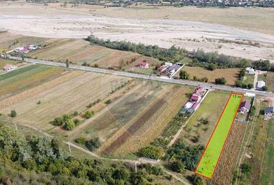 Teren Comuna Bolotesti - 1