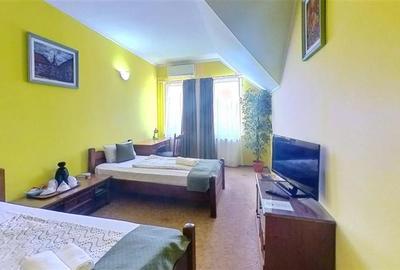 TUR VIRTUAL! Pensiune Centrala:sub Brand apreciat, o alegere inspirata. - 8