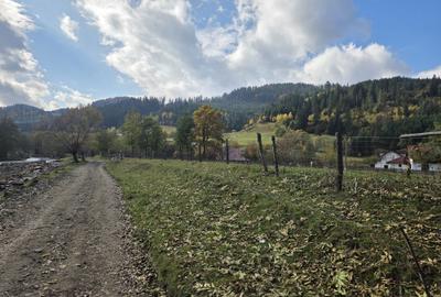 Teren de 2000 mp, în Stulpicani