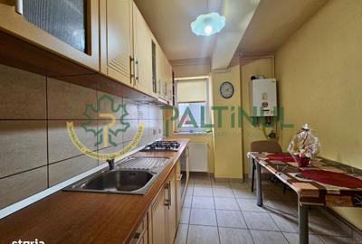 Apartament cu 2 camere decomandat, mobilat în Turnișor - 11