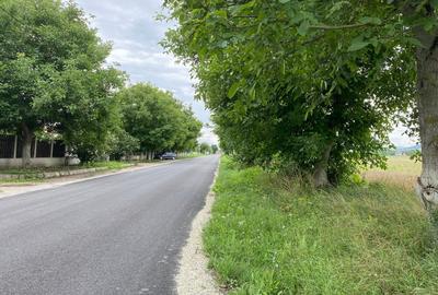 Teren intravilan la stradă, toate utilitățile, Băcia, Hunedoara - 6