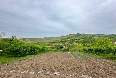 Vand teren la țarǎ cu casa veche - 5