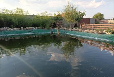 Casă cu 10 camere cu Teren 28000 Mp în Central - 5