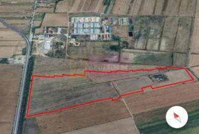 Teren 40ha Adunatii Copaceni | Industrial/ Logistic - 1